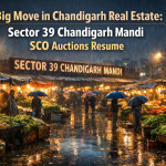 Big Move in Chandigarh Real Estate: Sector 39 Chandigarh Mandi SCO Auctions Resume