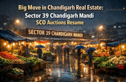 Big Move in Chandigarh Real Estate: Sector 39 Chandigarh Mandi SCO Auctions Resume